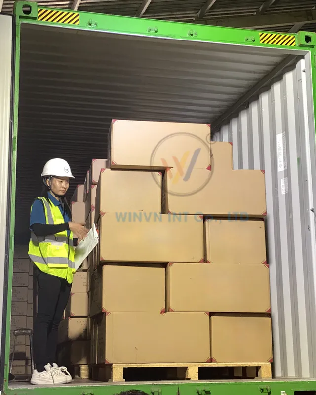 Quality check of loofah export cartons inside the container