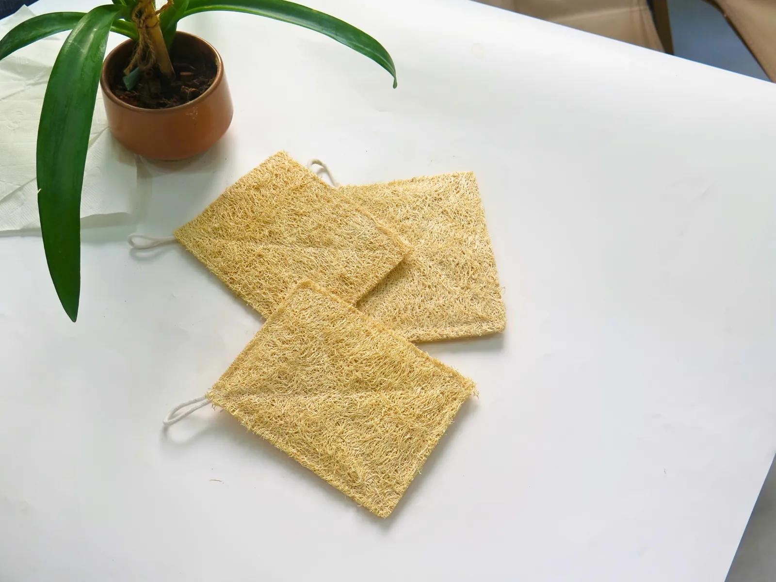 Three natural loofah dish pads with hanging loops on a white table
