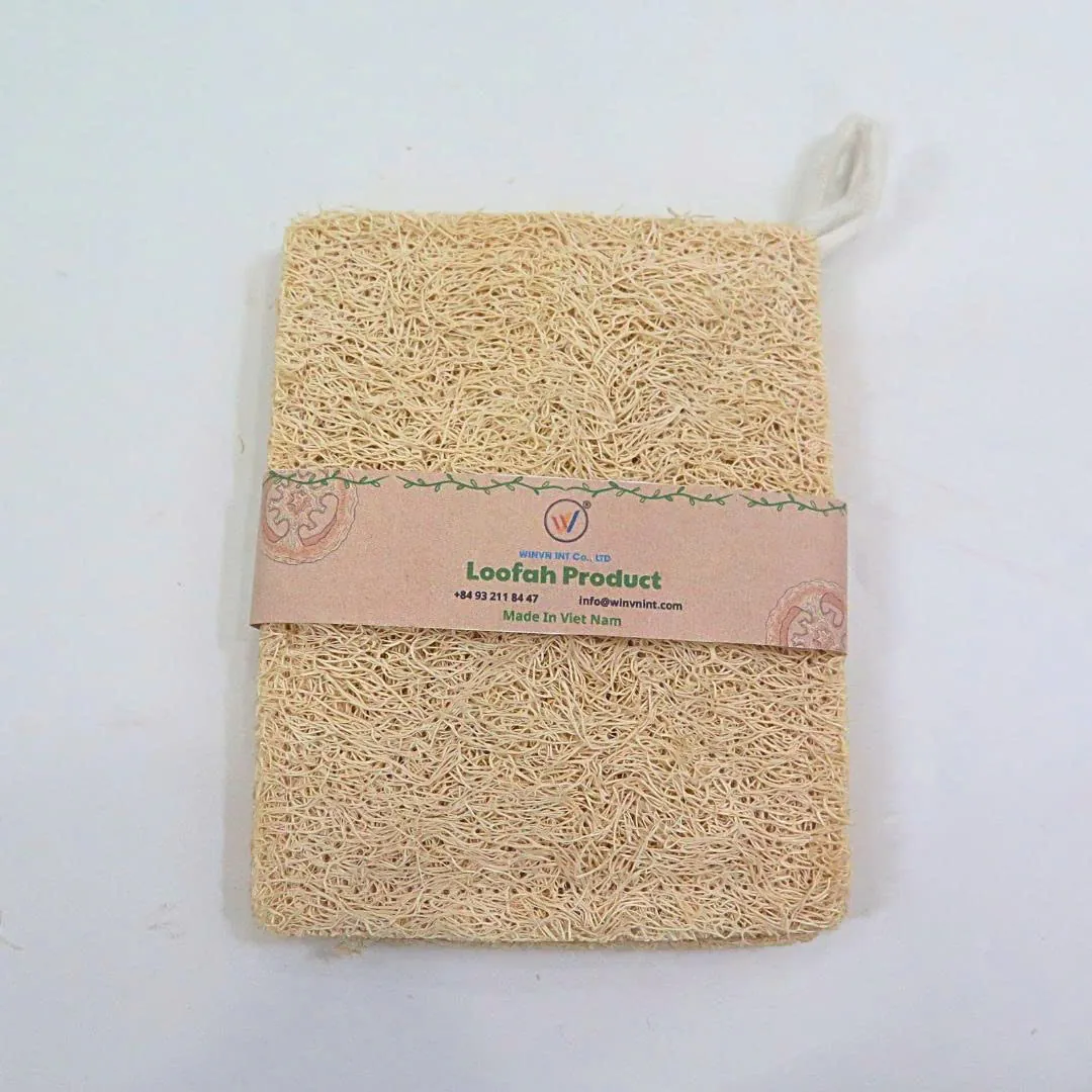 Do Kitchen Sponges Shed Microplastics? What the 2026 Studies Mean for Retailers