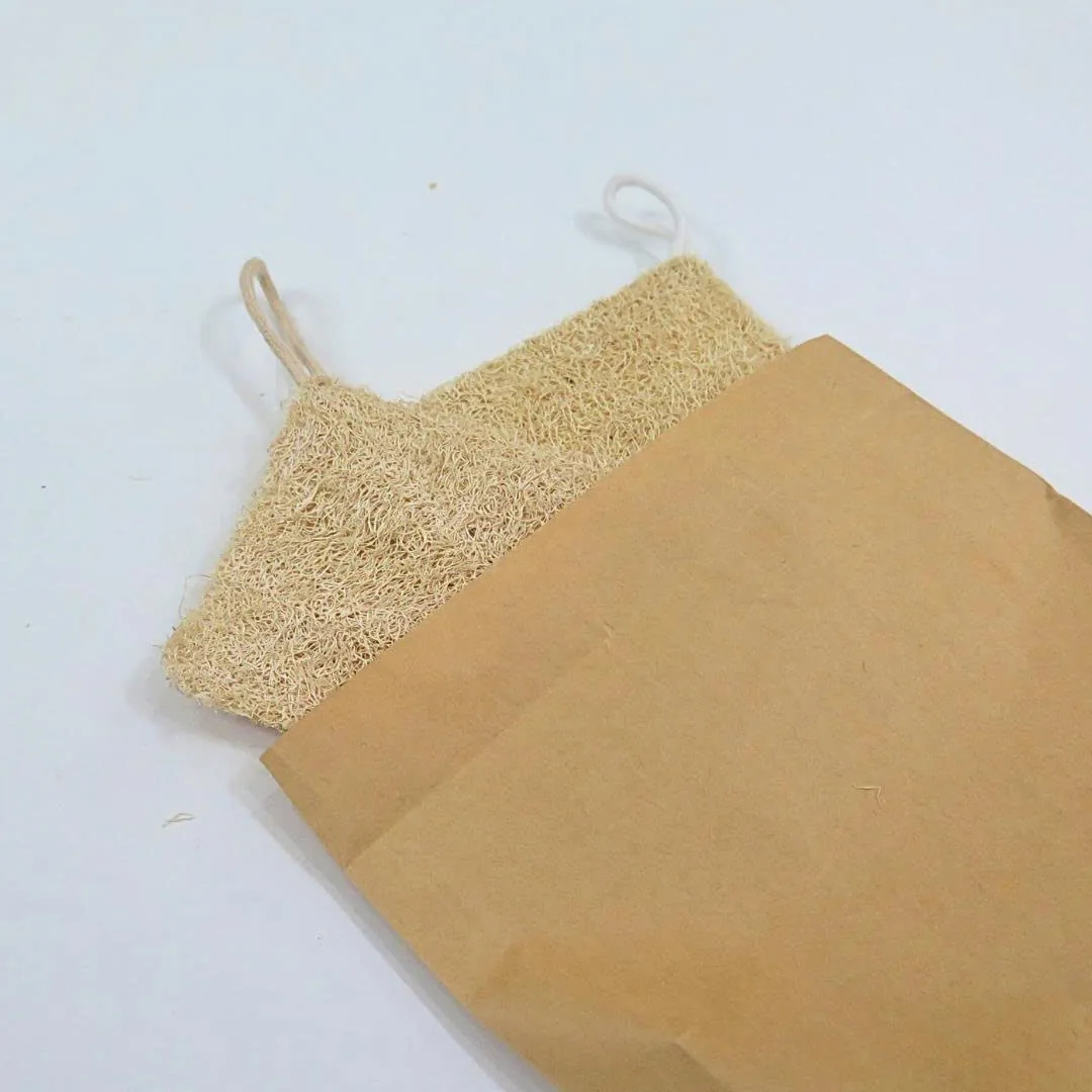 Natural loofah dish sponge with a hanging loop sliding out of a kraft paper sleeve